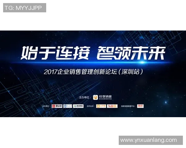 实时新闻深圳飞盘队的运营体系与战术创新探索之路